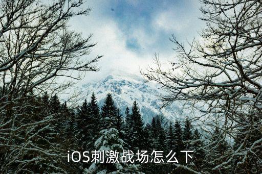 iOS刺激战场怎么下