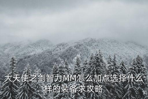 大天使之剑智力MM怎么加点选择什么样的装备求攻略