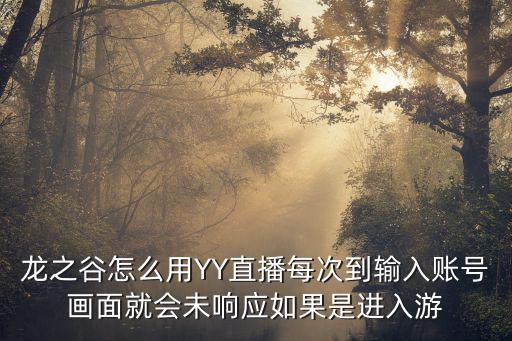 龙之谷怎么用YY直播每次到输入账号画面就会未响应如果是进入游