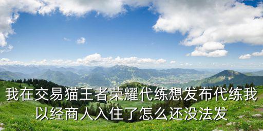 我在交易猫王者荣耀代练想发布代练我以经商人入住了怎么还没法发