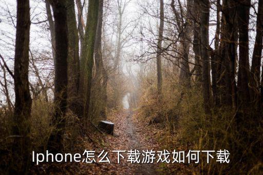 Iphone怎么下载游戏如何下载