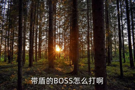 带盾的BOSS怎么打啊