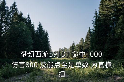 梦幻西游59J DT 命中1000伤害800 技能点全是单数 为官横扫