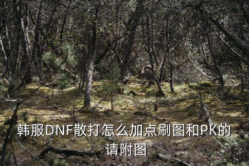 韩服DNF散打怎么加点刷图和PK的 请附图