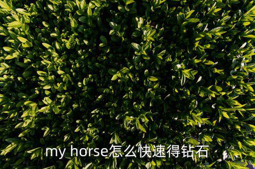 my horse怎么快速得钻石