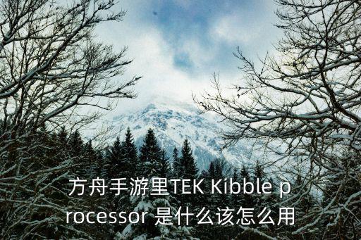 方舟手游里TEK Kibble processor 是什么该怎么用