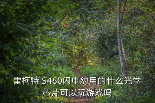 雷柯特 S460闪电豹用的什么光学芯片可以玩游戏吗