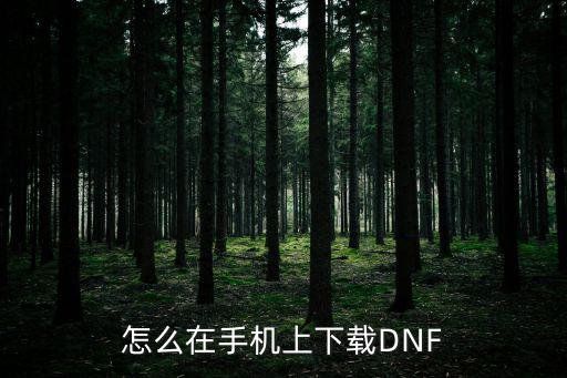 怎么在手机上下载DNF