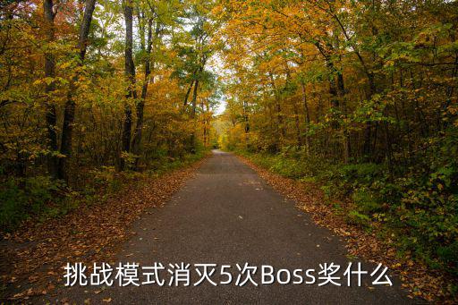 挑战模式消灭5次Boss奖什么