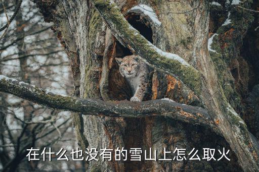 手游原神雪山上怎么点火，在什么也没有的雪山上怎么取火