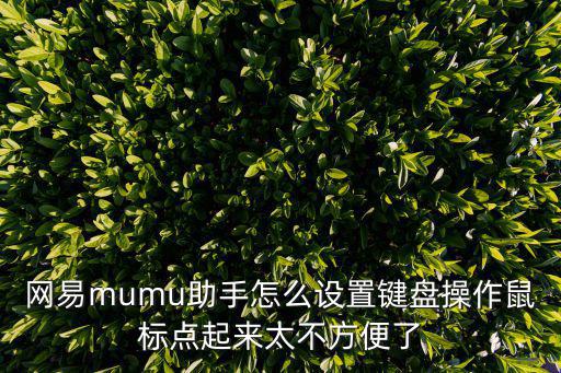 网易mumu助手怎么设置键盘操作鼠标点起来太不方便了