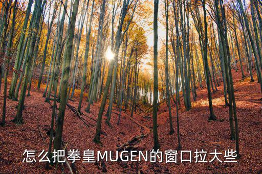 怎么把拳皇MUGEN的窗口拉大些