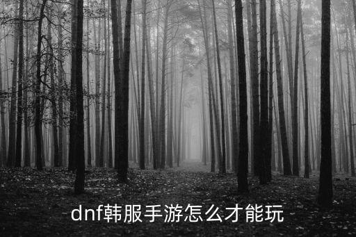 dnf韩服手游怎么才能玩