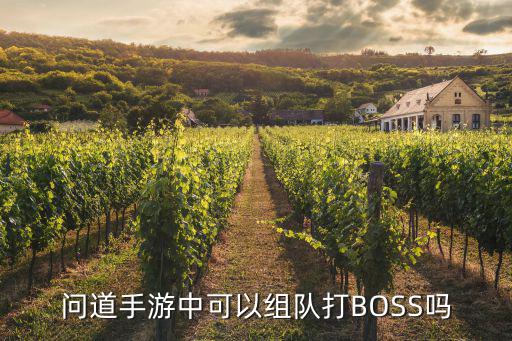 问道手游中可以组队打BOSS吗