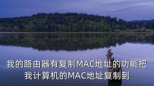 我的路由器有复制MAC地址的功能把我计算机的MAC地址复制到