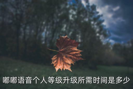 嘟嘟侠手游怎么升级，小嘟嘟熊的嘟嘟技能怎么样升级啊