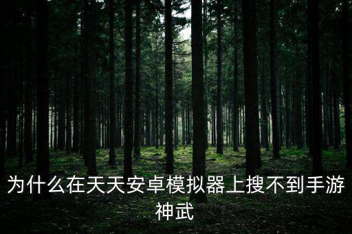 怎么搜不到神武3手游游戏，在社区商店找不到神武3手游是怎么回事