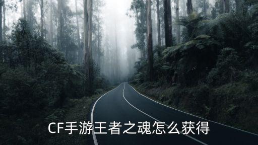 CF手游王者之魂怎么获得