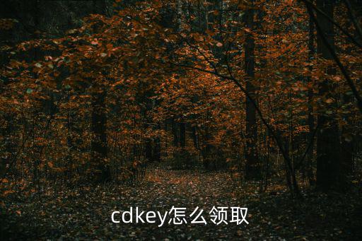 cdkey怎么领取