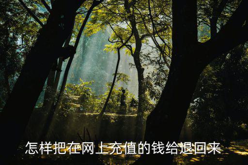 怎么把小花仙手游里的钱退回来，怎样把在网上充值的钱给退回来