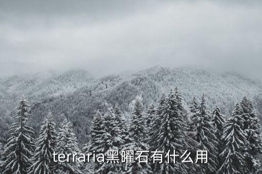 terraria黑曜石有什么用