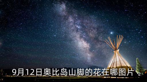 9月12日奥比岛山脚的花在哪图片