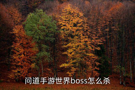 问道手游疫祖boss怎么打，问道手游中可以组队打BOSS吗