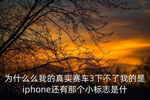 为什么么我的真实赛车3下不了我的是iphone还有那个小标志是什