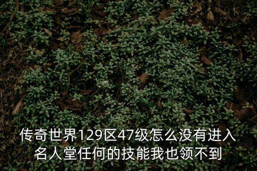 传奇世界129区47级怎么没有进入名人堂任何的技能我也领不到