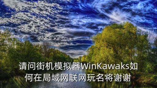 请问街机模拟器WinKawaks如何在局域网联网玩名将谢谢