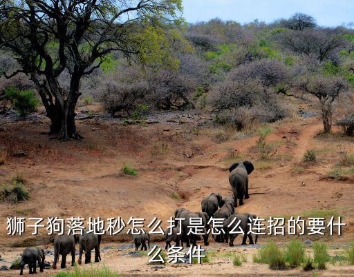 狮子狗手游怎么连招，狮子狗落地秒人连招