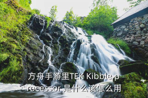 方舟手游里TEK Kibble processor 是什么该怎么用