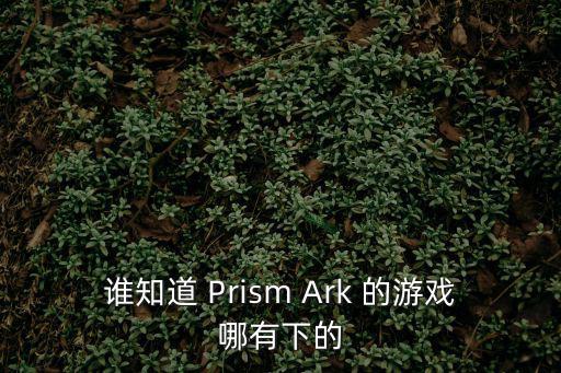 谁知道 Prism Ark 的游戏哪有下的
