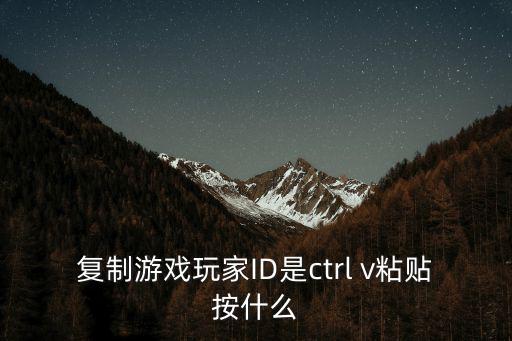 复制游戏玩家ID是ctrl v粘贴按什么