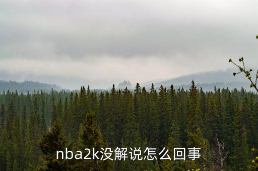 nba2k没解说怎么回事