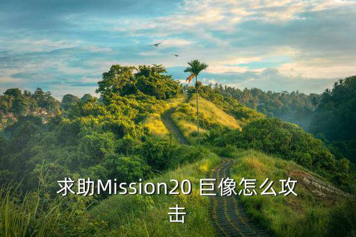 求助Mission20 巨像怎么攻击