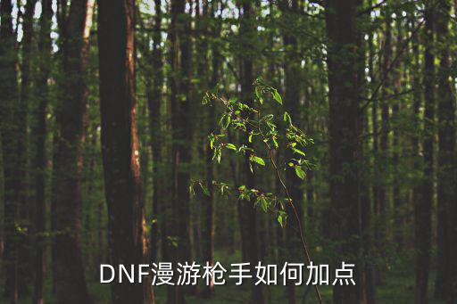 DNF漫游枪手如何加点