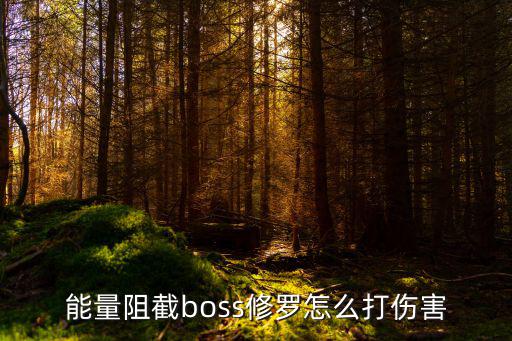 能量阻截boss修罗怎么打伤害