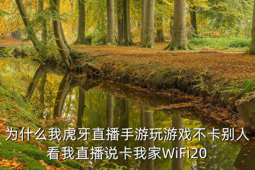 为什么我虎牙直播手游玩游戏不卡别人看我直播说卡我家WiFi20