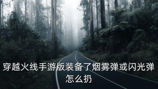 穿越火线手游版装备了烟雾弹或闪光弹怎么扔