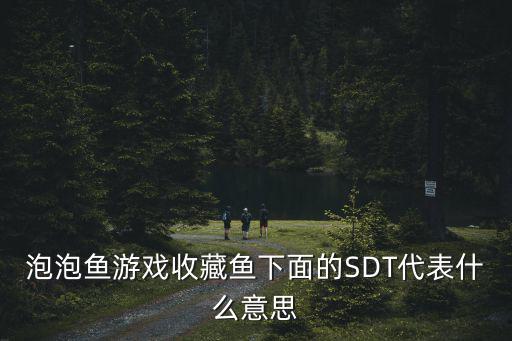 泡泡鱼游戏收藏鱼下面的SDT代表什么意思