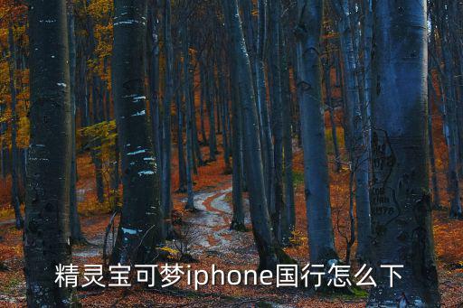 精灵宝可梦iphone国行怎么下