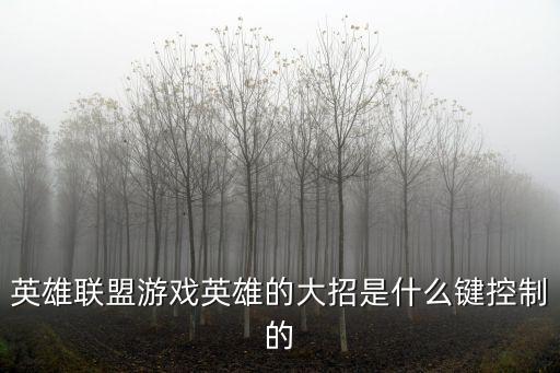 英雄联盟游戏英雄的大招是什么键控制的