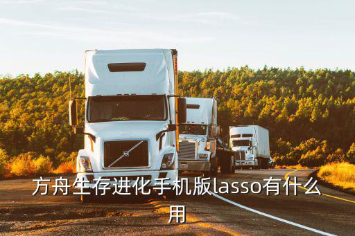 方舟生存进化手机版lasso有什么用