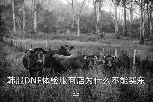 韩服DNF体验服商店为什么不能买东西