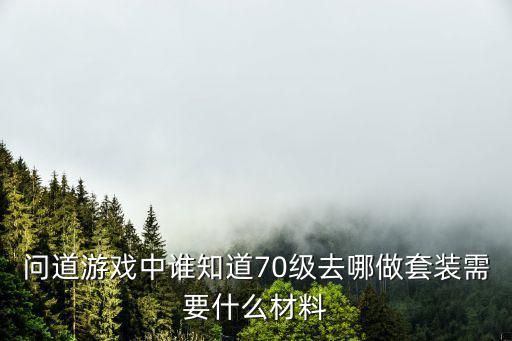 问道游戏中谁知道70级去哪做套装需要什么材料