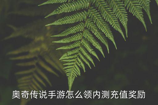 奥奇传说手游怎么领内测充值奖励