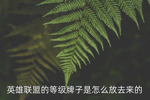 lol手游牌子怎么装，外面买的名牌怎么装