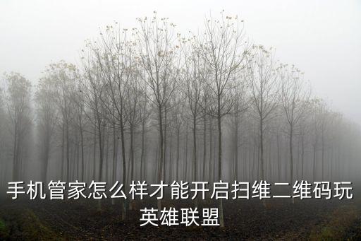 手机管家怎么样才能开启扫维二维码玩英雄联盟