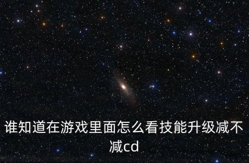 手游LOL怎么看减cd，LOL减CD怎么算